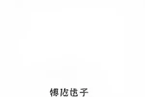 塌房预警信号盘点封面：六个预警信号图示